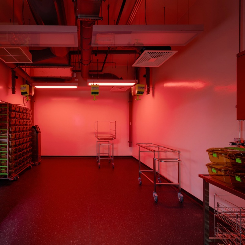 ��Ⱦ�����о�����